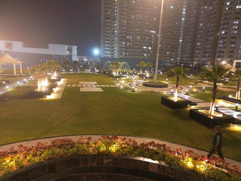  greens 2 Landscape Garden and Tree Planting