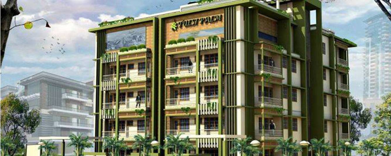  tulsi palm Elevation