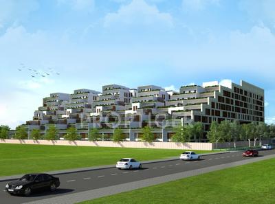 Images for Elevation of Pallacia pallacia Images for Elevation of Pallacia