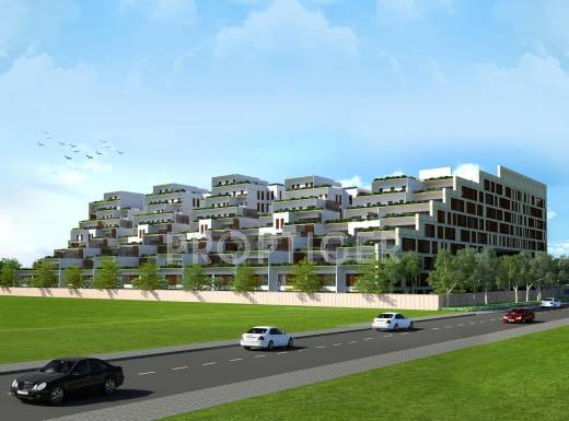 Images for Elevation of  Pallacia