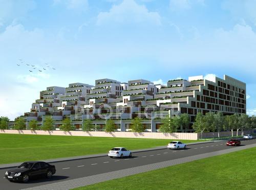  pallacia Images for Elevation of  Pallacia