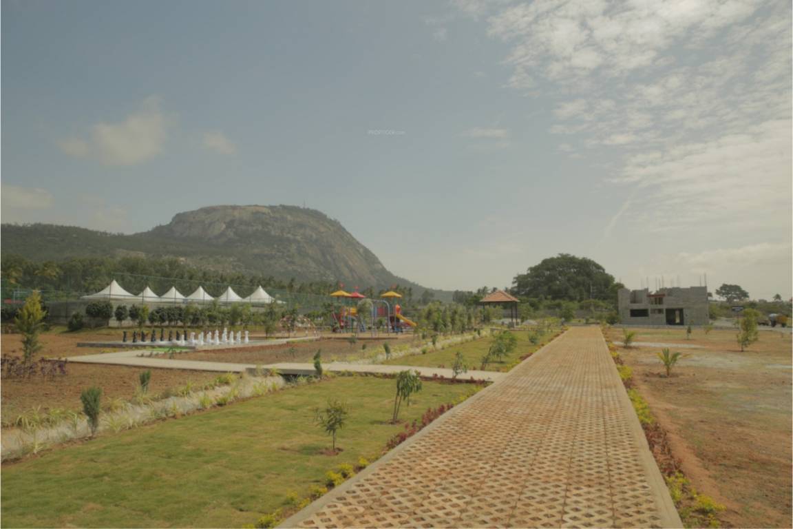 Images for Amenities of Citrus Belmont