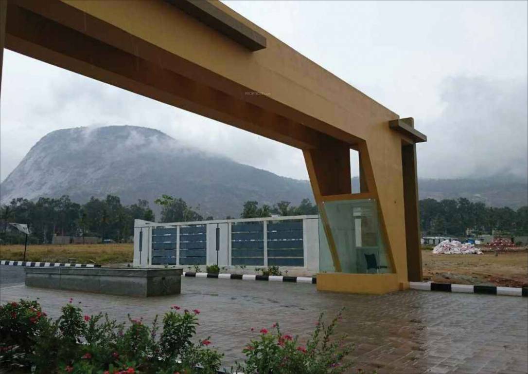 Images for Amenities of Citrus Belmont