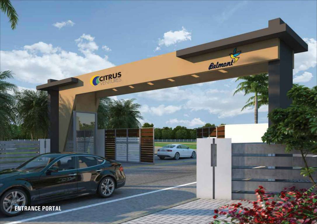 Images for Amenities of Citrus Belmont