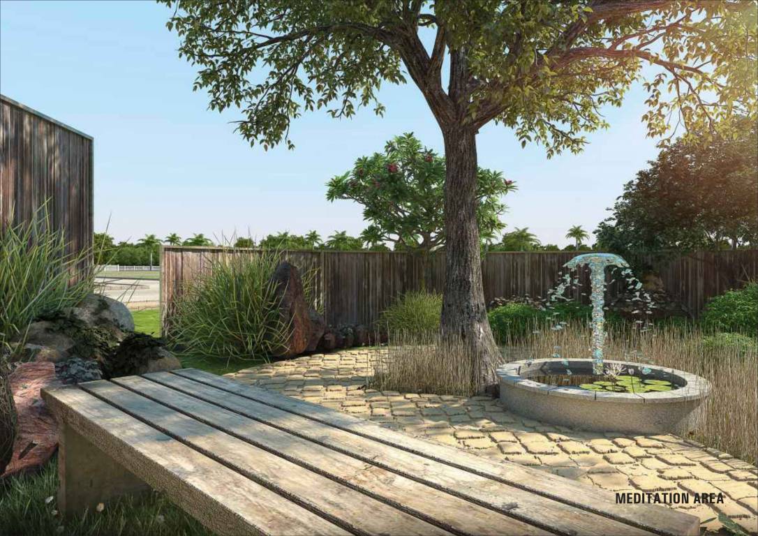 Images for Amenities of Citrus Belmont