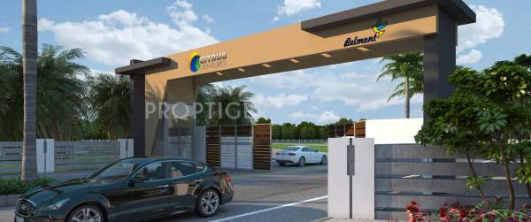 Images for Main Other of Citrus Belmont