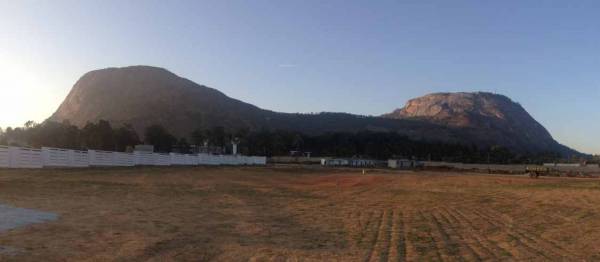 Images for Main Other of Citrus Belmont