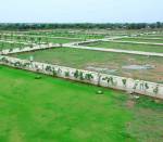  city-i-plots Images for Elevation of New Delhi Land Consortium NDLC City I Plots