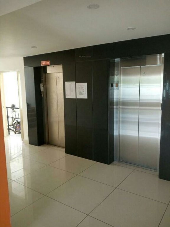 dd silver stone Others