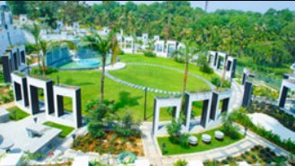 dd platinum planet Others