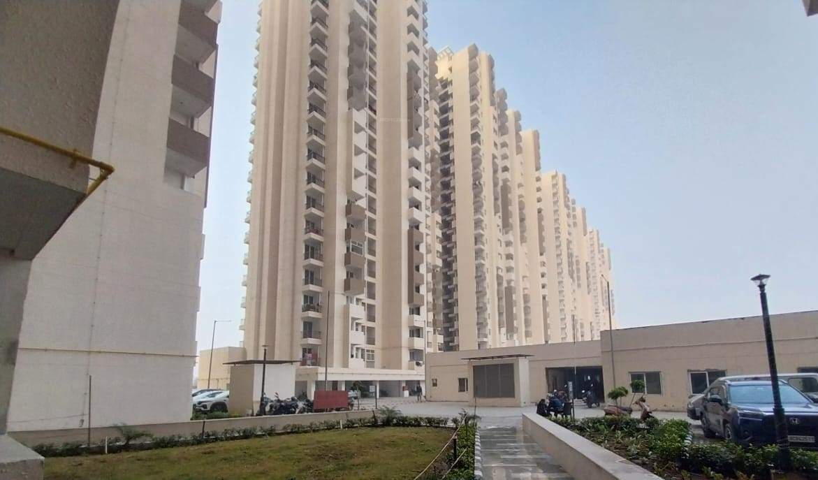  riverview Elevation