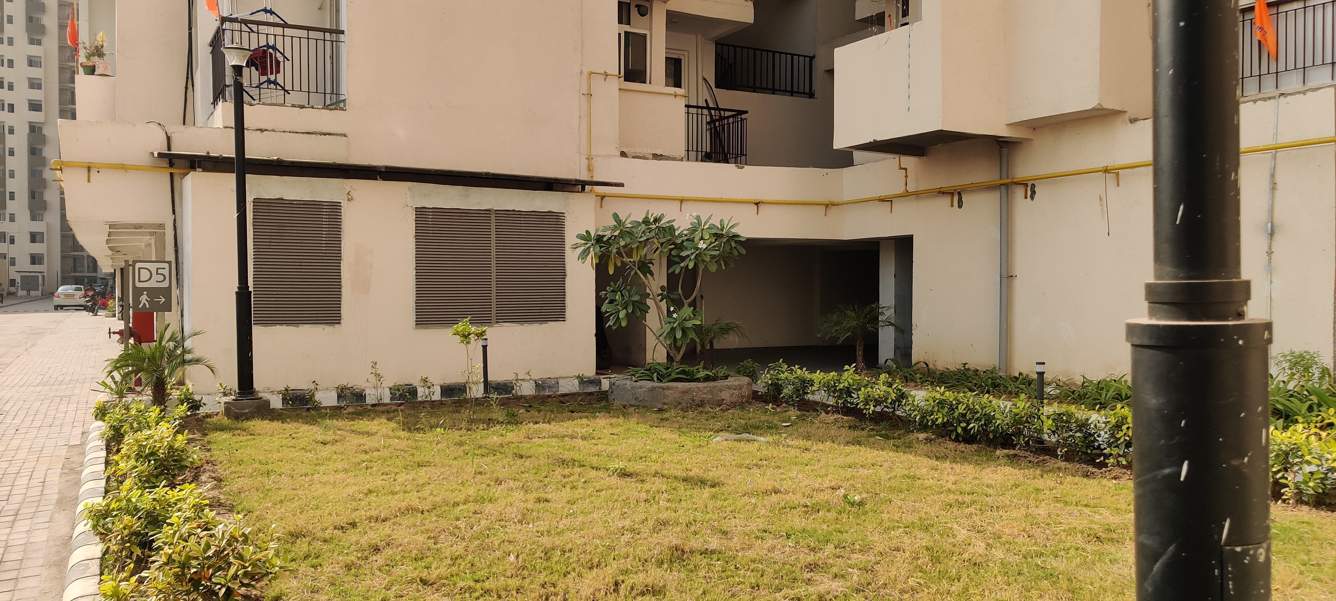  riverview Landscape Garden and Tree Planting