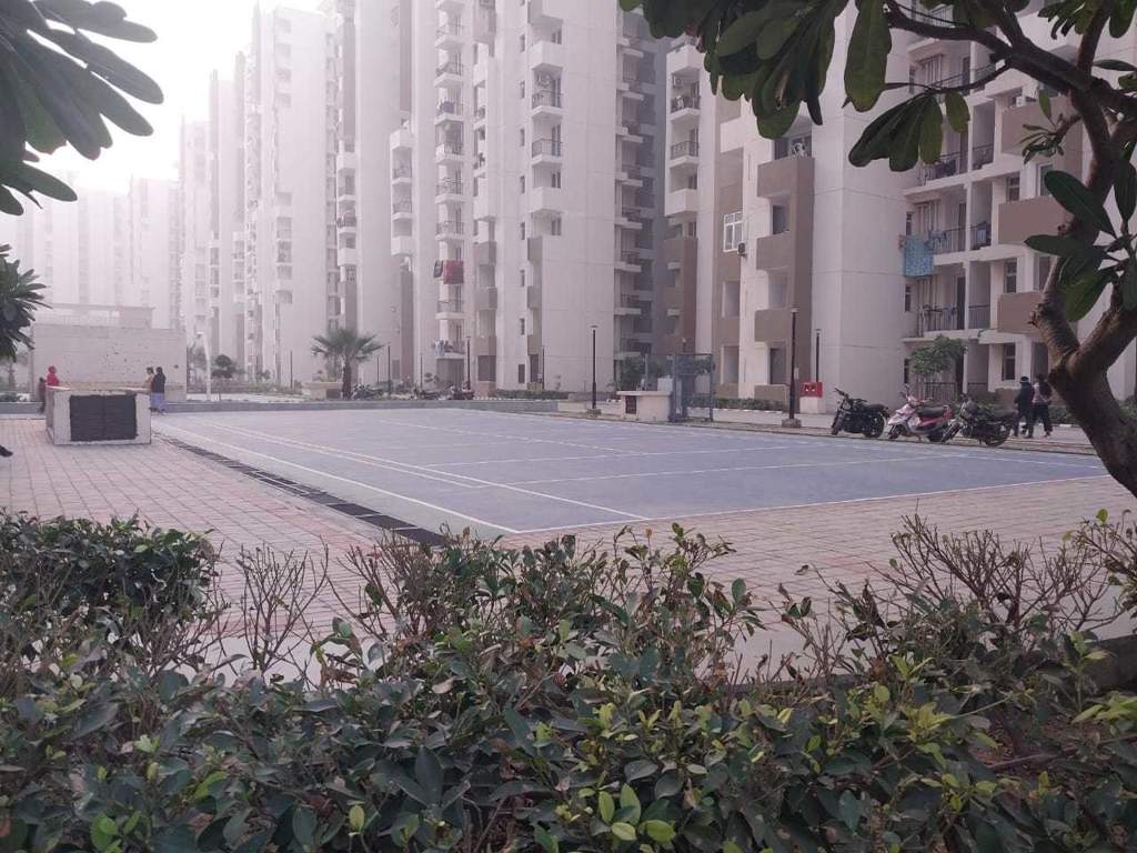  riverview Lawn Tennis Court