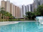 Swimming Pool  dd-diamond-valley Swimming Pool