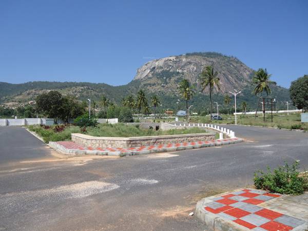 Images for Main Other of Wellnest Melville Greens