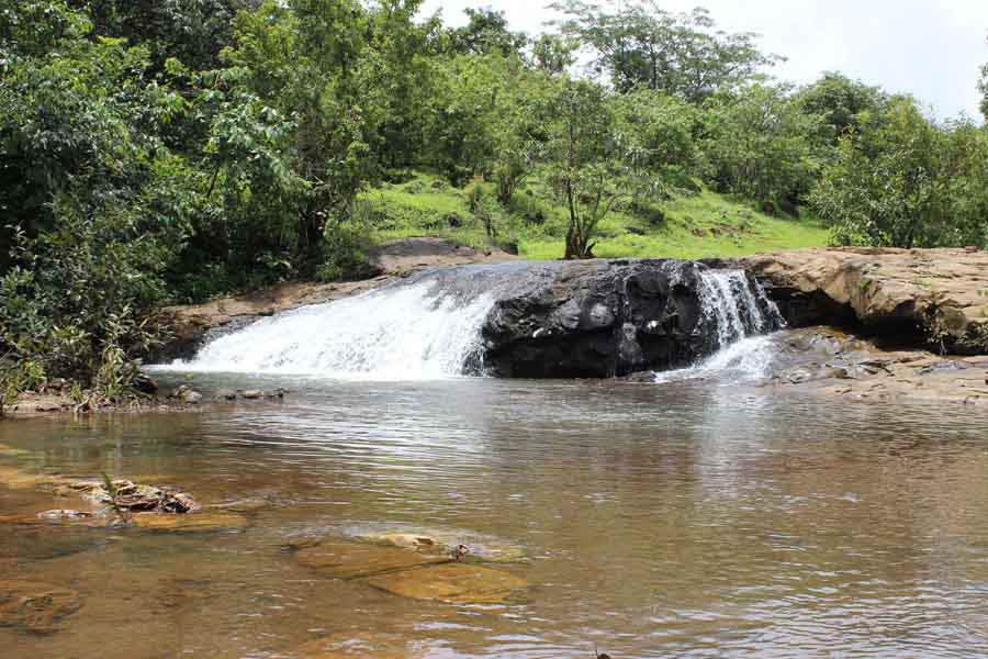 Images for Main Other of Disha Bombay99