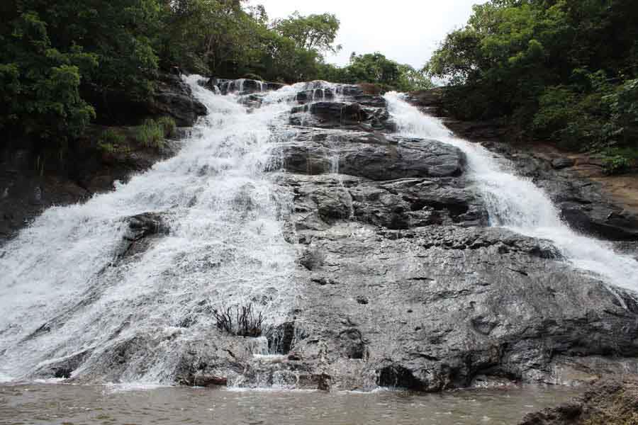 Images for Main Other of Disha Bombay99