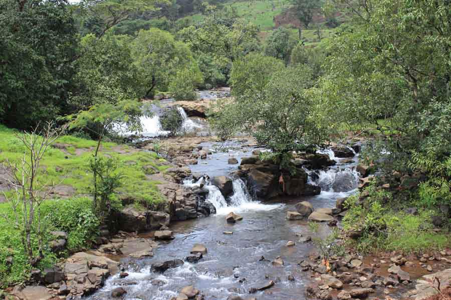 Images for Main Other of Disha Bombay99