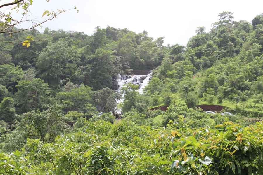 Images for Main Other of Disha Bombay99