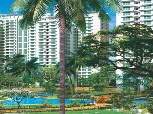 Images for Elevation of Nahar Yarrow Yucca Vinca