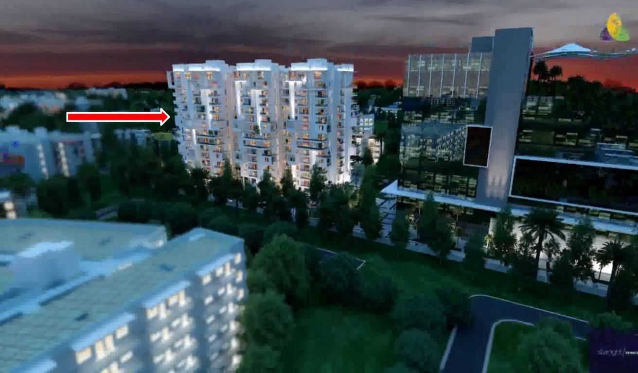 Images for Elevation of Trifecta Starlight