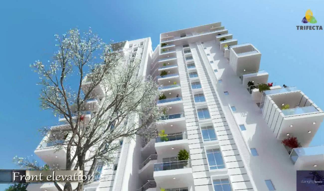 Images for Elevation of Trifecta Starlight