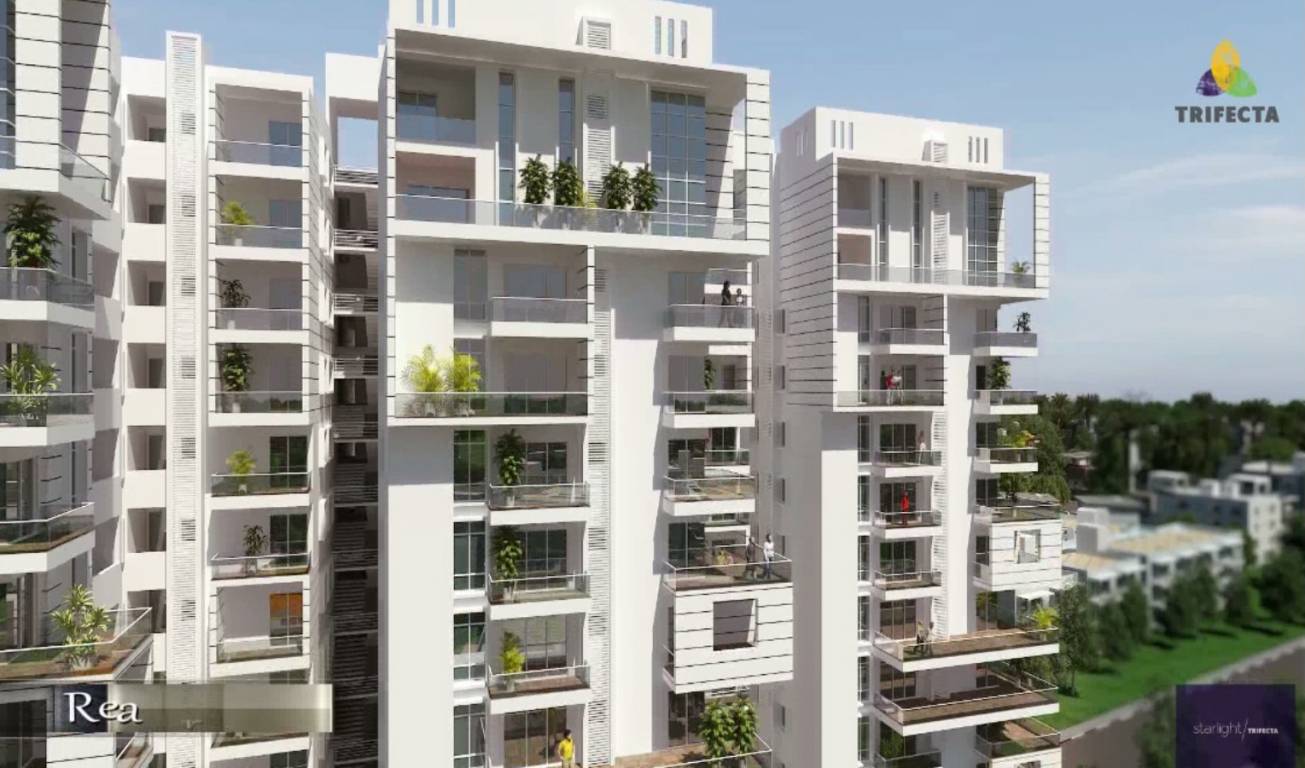 Images for Elevation of Trifecta Starlight