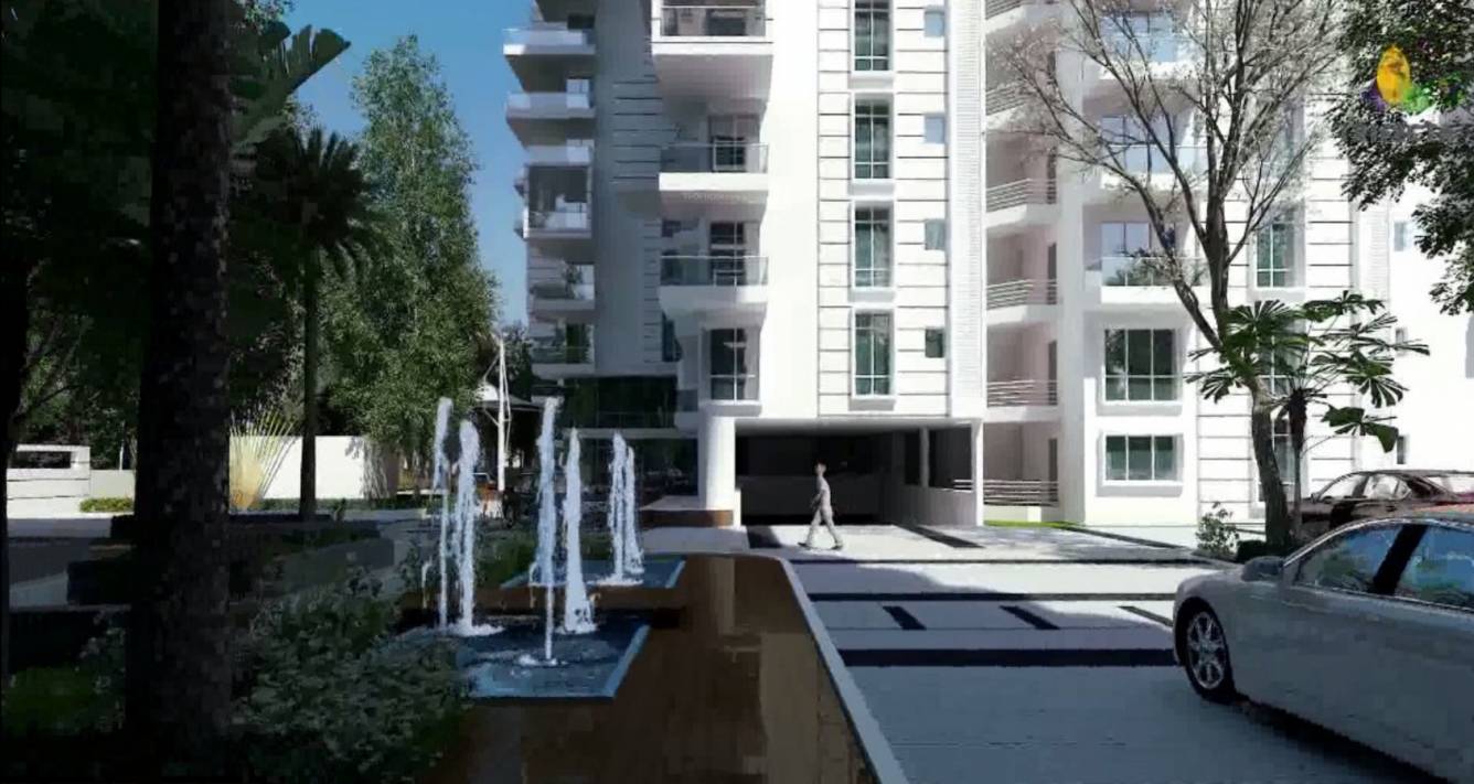 Images for Elevation of Trifecta Starlight