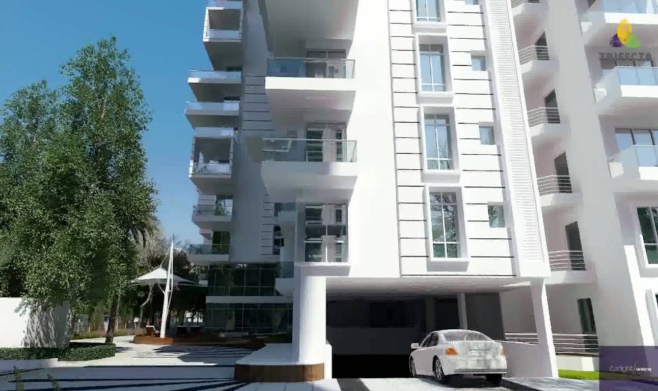 Images for Elevation of Trifecta Starlight