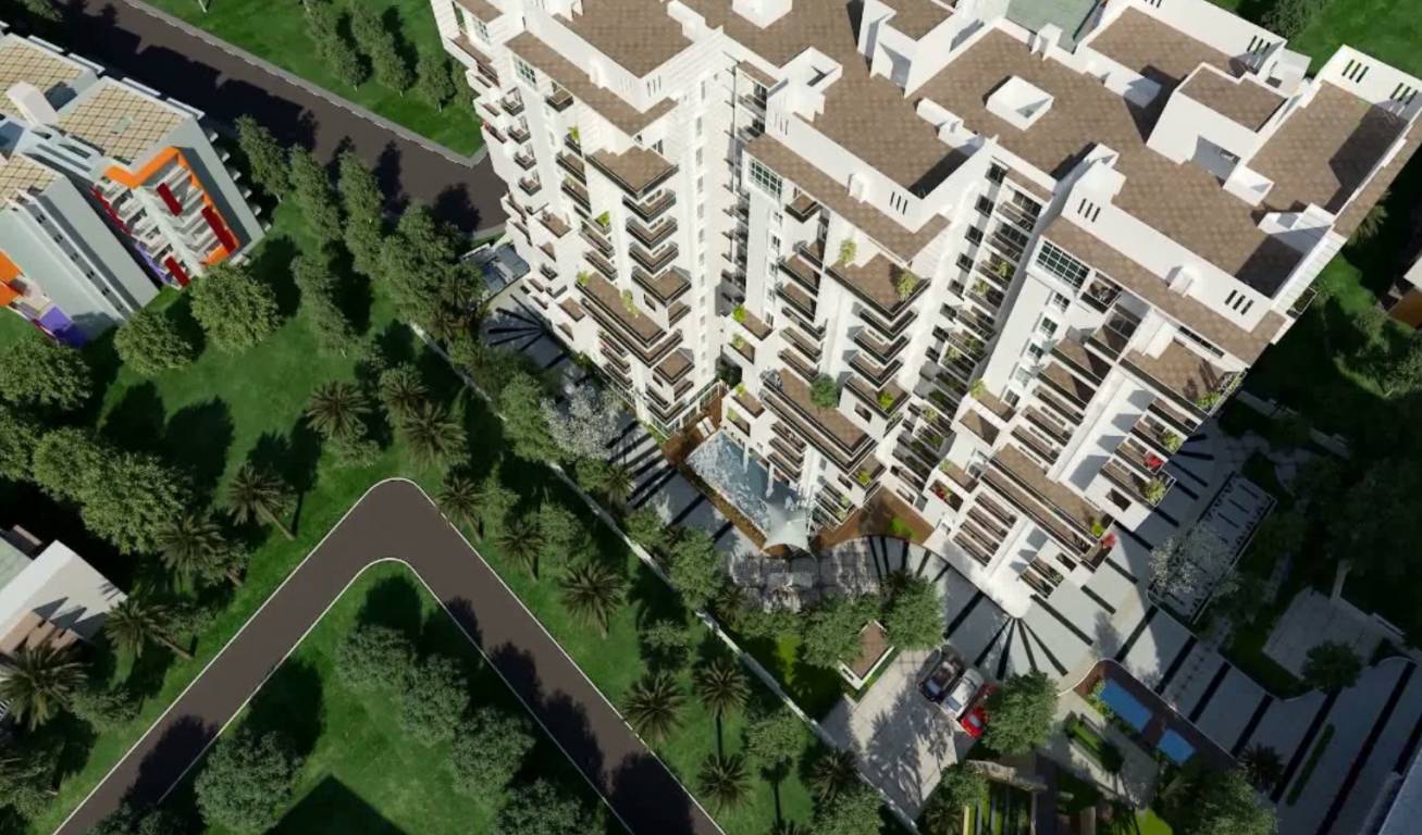  starlight Images for Elevation of Trifecta Starlight