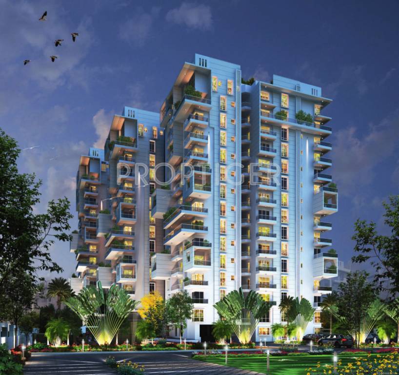 Images for Elevation of Trifecta Starlight