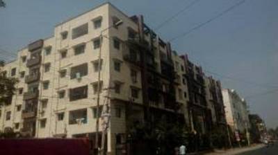  greens Images for Project