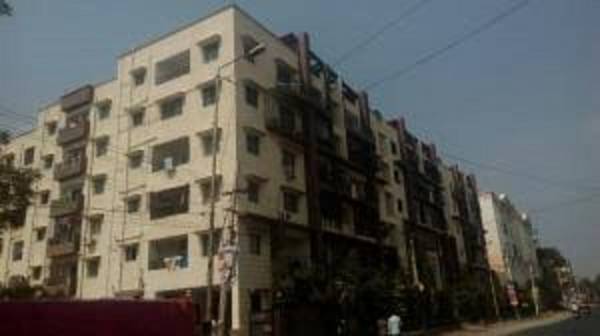 Images for Project greens Images for Project