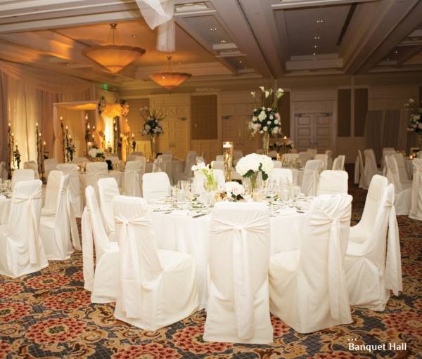  pride-palms Images for amenities