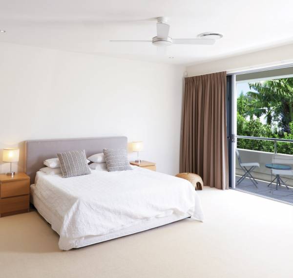  pride-palms Images for mainOther