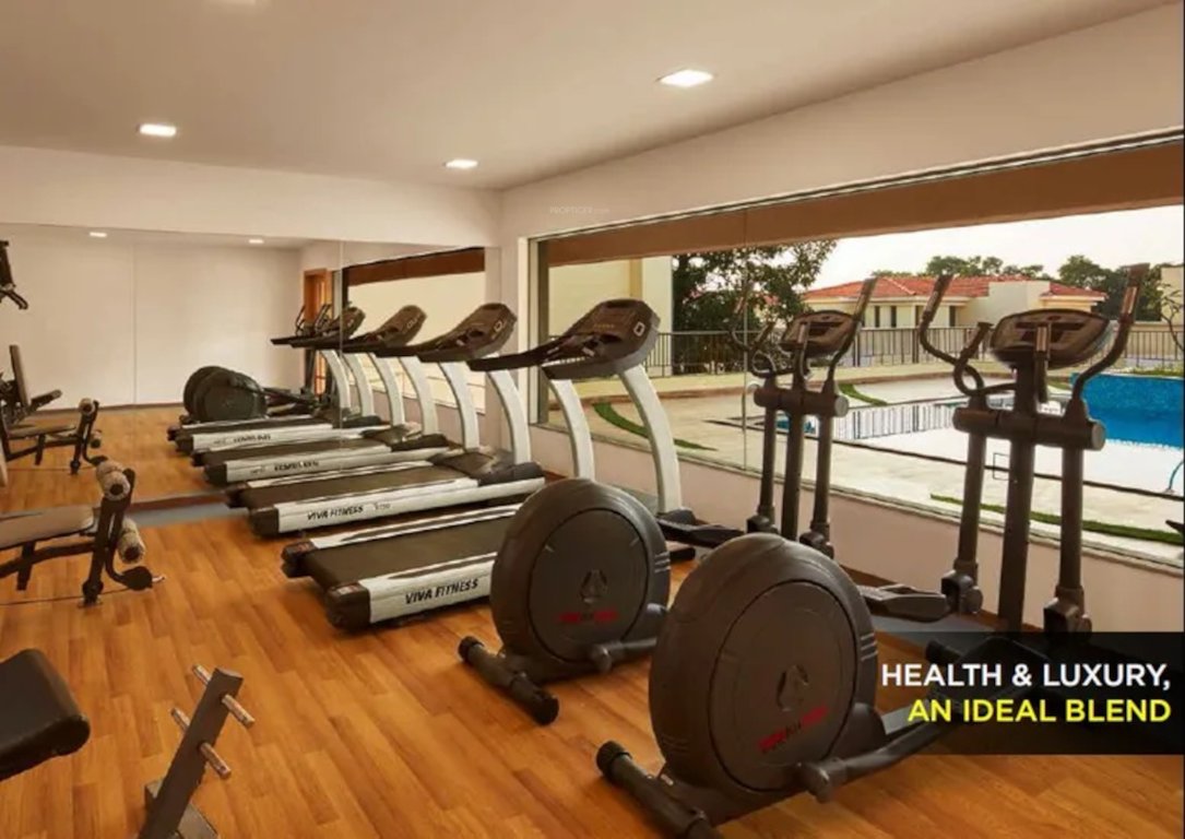  ashok beleza Gymnasium