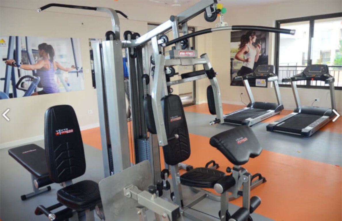  silicon hills and medows Gymnasium