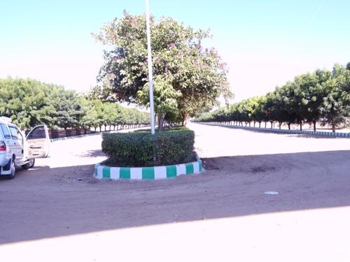  estancia Images for Main Other of Felicity Estancia