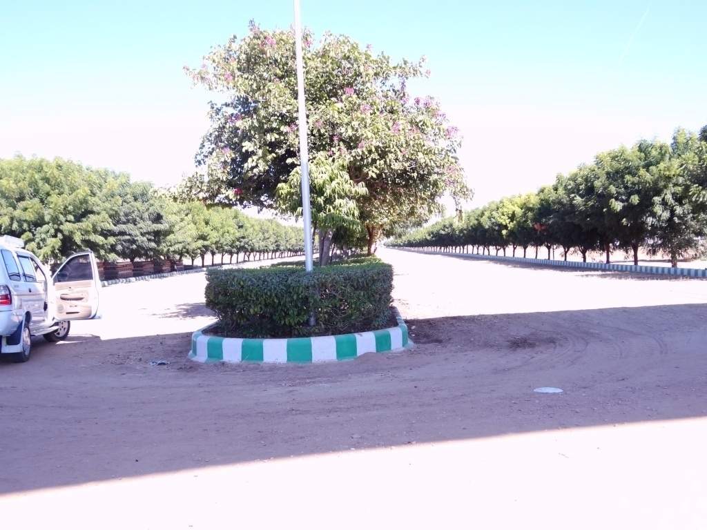 estancia Images for Main Other of Felicity Estancia