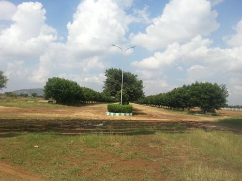  estancia Images for Main Other of Felicity Estancia