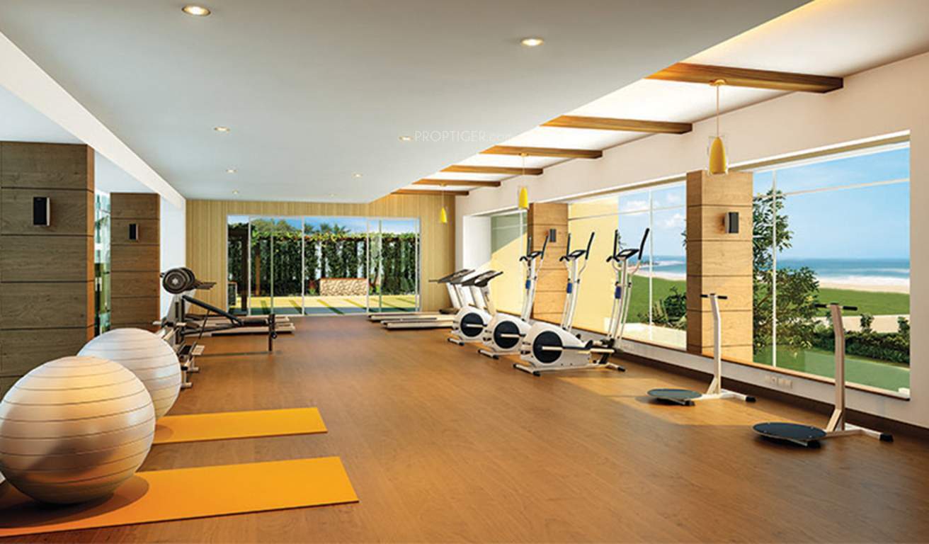  oceanique Images for Amenities of Altis Oceanique