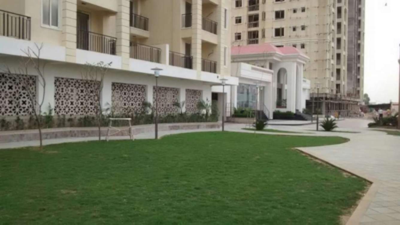  aroma Landscape Garden and Tree Planting