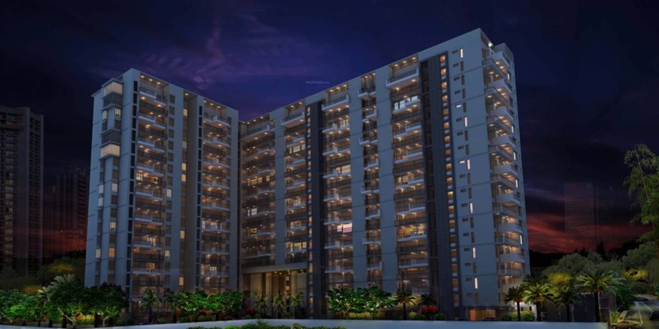 Images for Elevation of Felicity Aventura