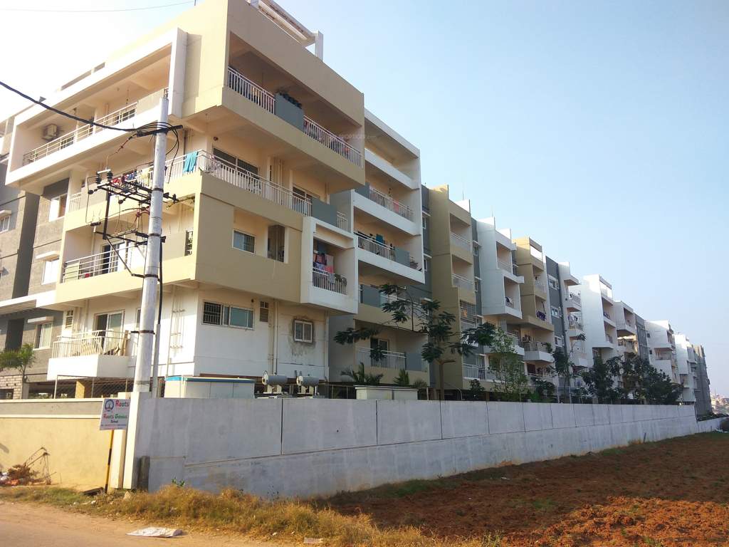  cherry blossom Elevation