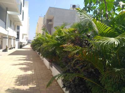  lake-dews Jogging Track