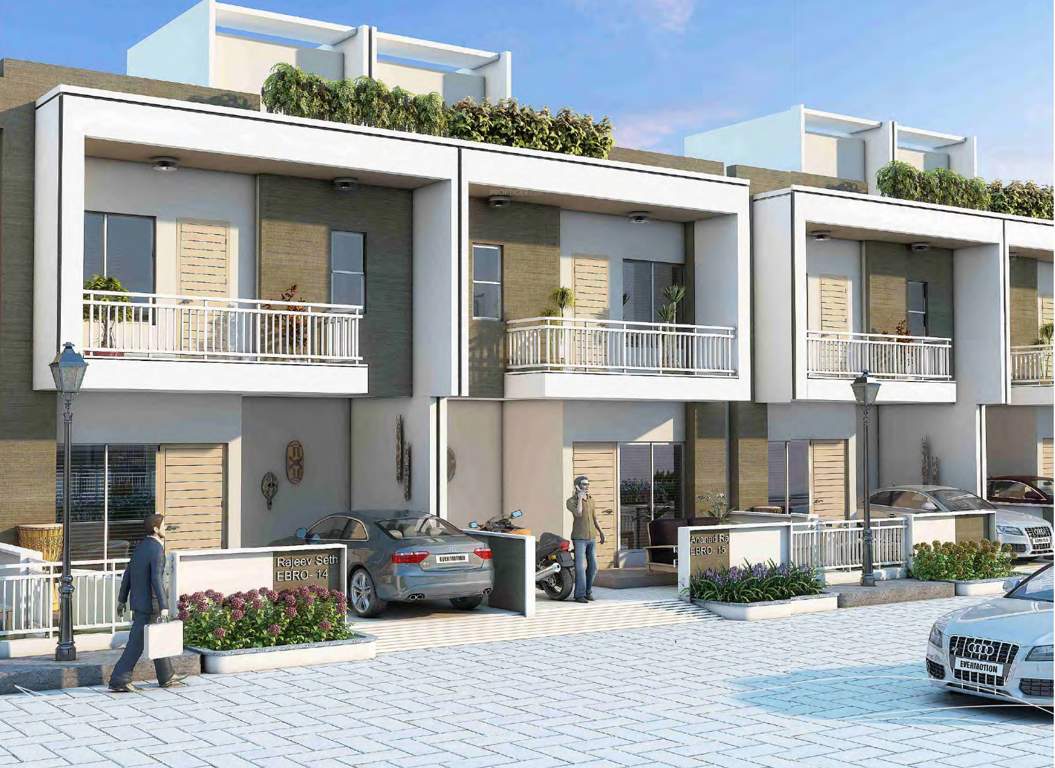  revaa Images for Elevation of IBD Revaa