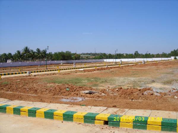  the-orchids Creation Shelters The Orchids