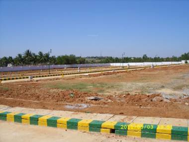 Creation Shelters The Orchids the-orchids Creation Shelters The Orchids