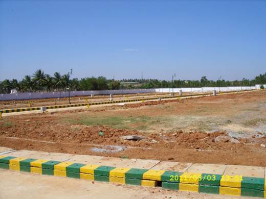 the-orchids Creation Shelters The Orchids Creation Shelters The Orchids