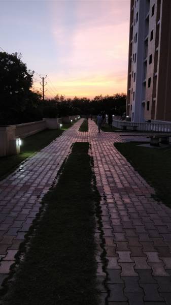  hill-ridge-springs Jogging Track